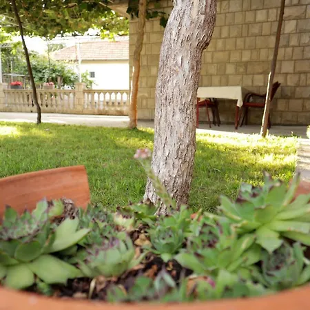 Debeli Lad דירה טרביניה