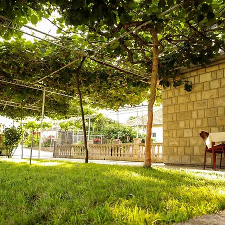 Debeli Lad Lejlighed *