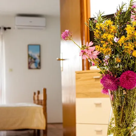 Debeli Lad Lejlighed *