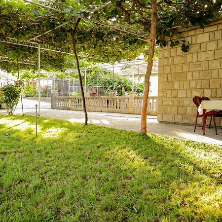 Debeli Lad דירה טרביניה