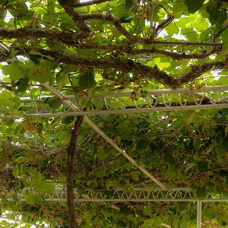 Debeli Lad Trebinje