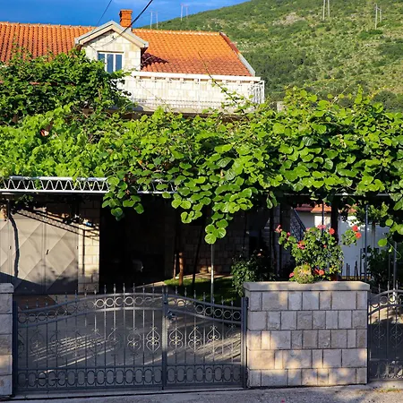 Debeli Lad تريبينيي