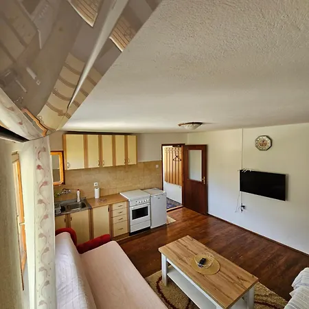 Debeli Lad דירה טרביניה