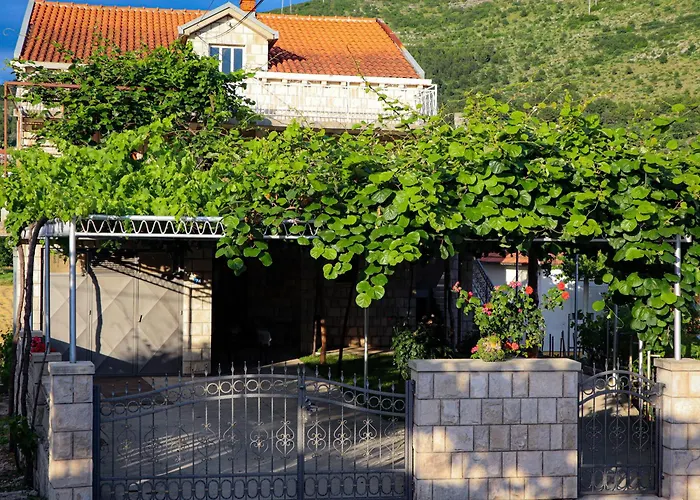 Debeli Lad تريبينيي